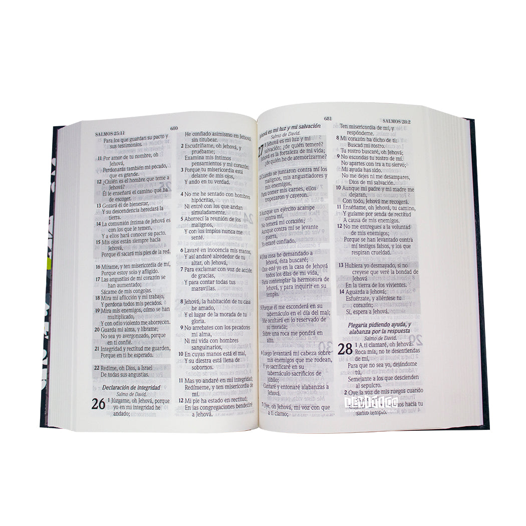 Biblia de Promesas RVR1960 Letra grande Tapa dura