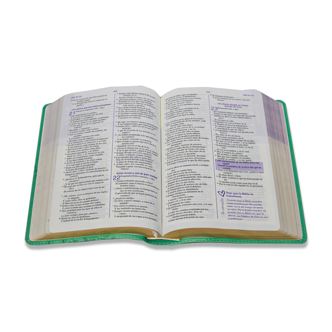 BIBLIA RV1960 DE UNA JOVEN CONFORME AL CORAZON DE DIOS