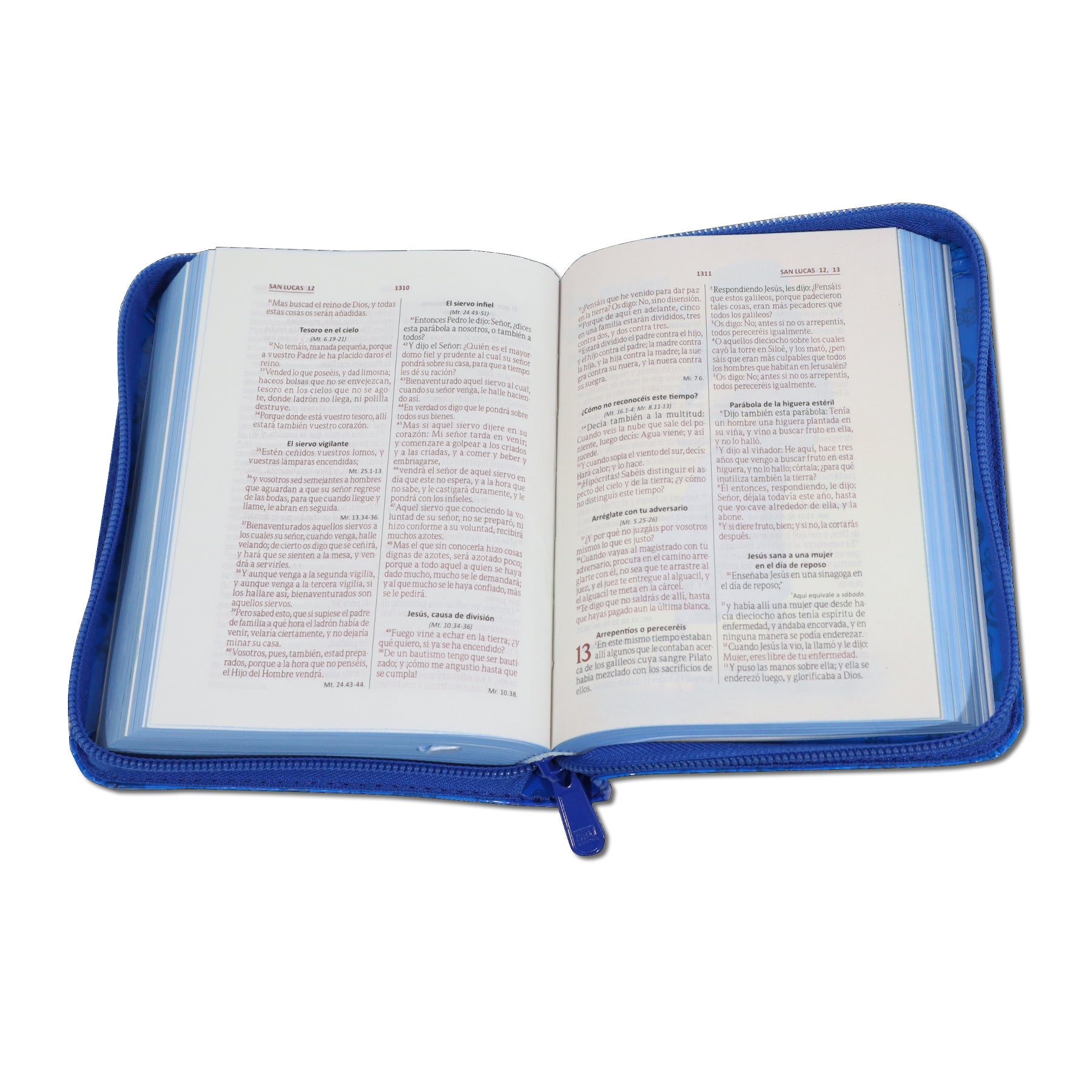 Biblia Amigos por siempre Acolchonado c/cierre