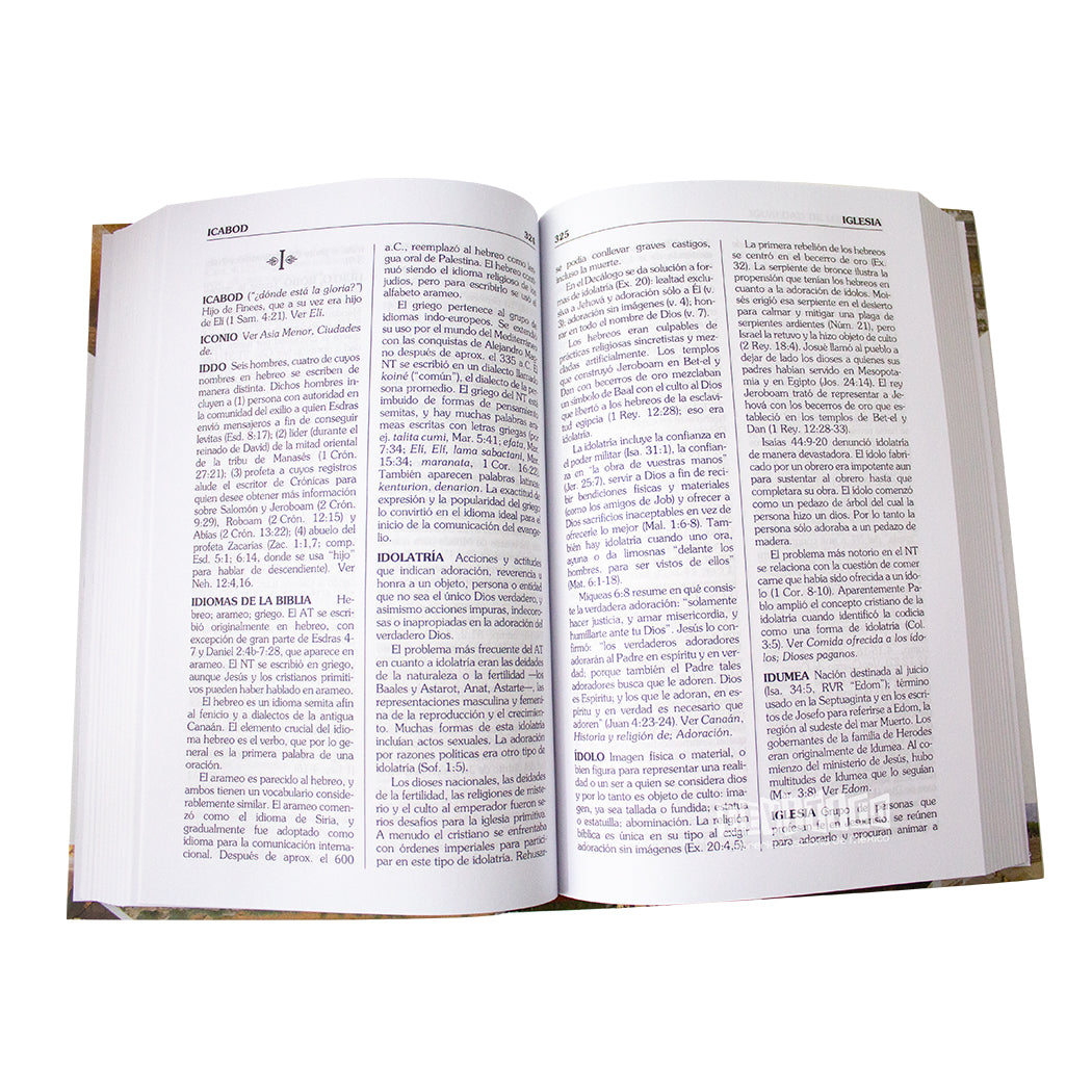 Diccionario Bíblico Conciso