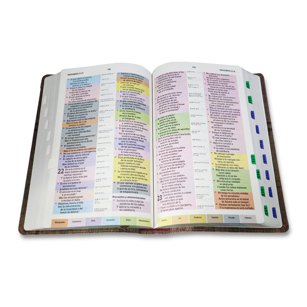BIBLIA DE ESTUDIO ARCOIRIS RV1960 GRIS PIZZARRA C/INDICE