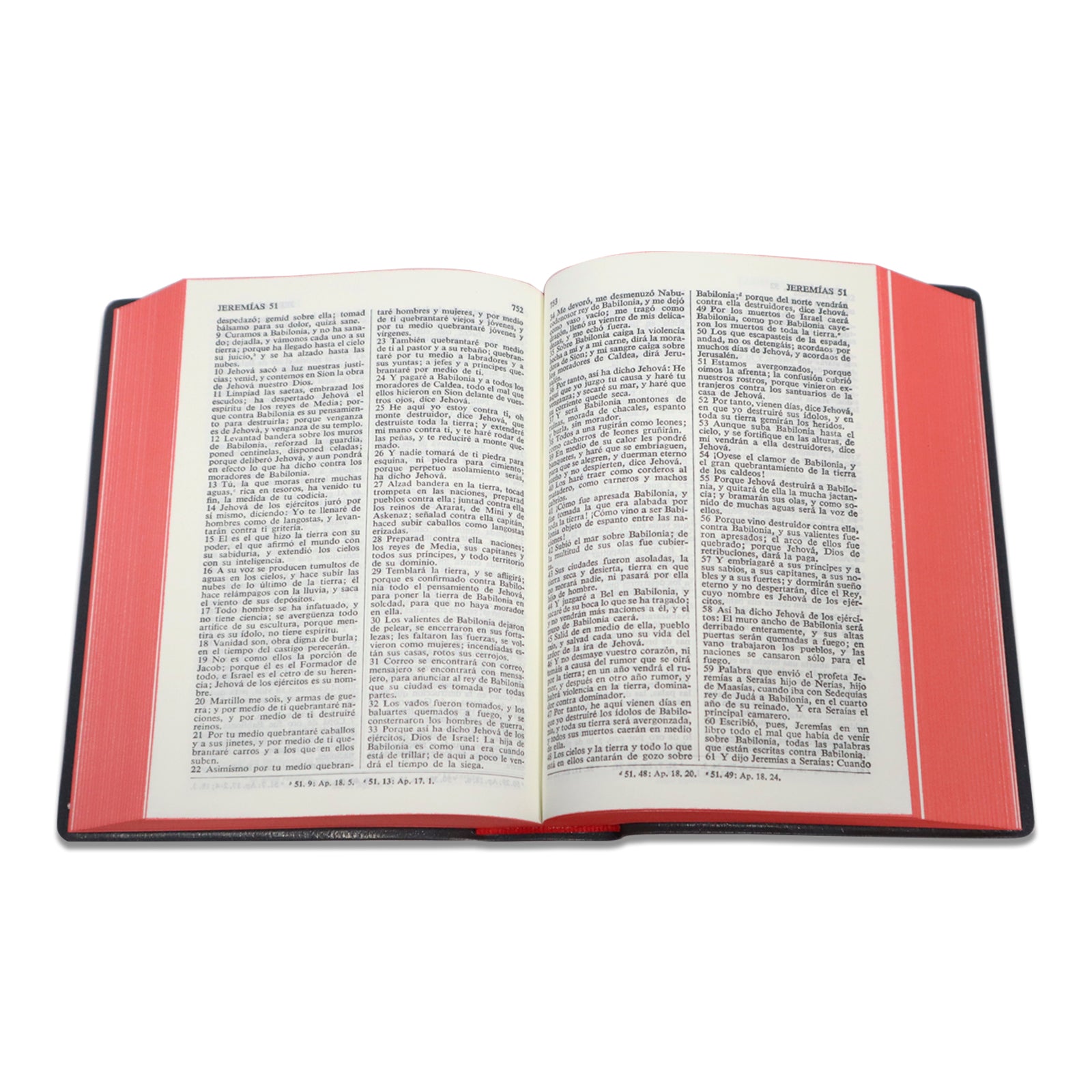 SANTA BIBLIA RV1960 CONCORDANCIA VINIL COLORES