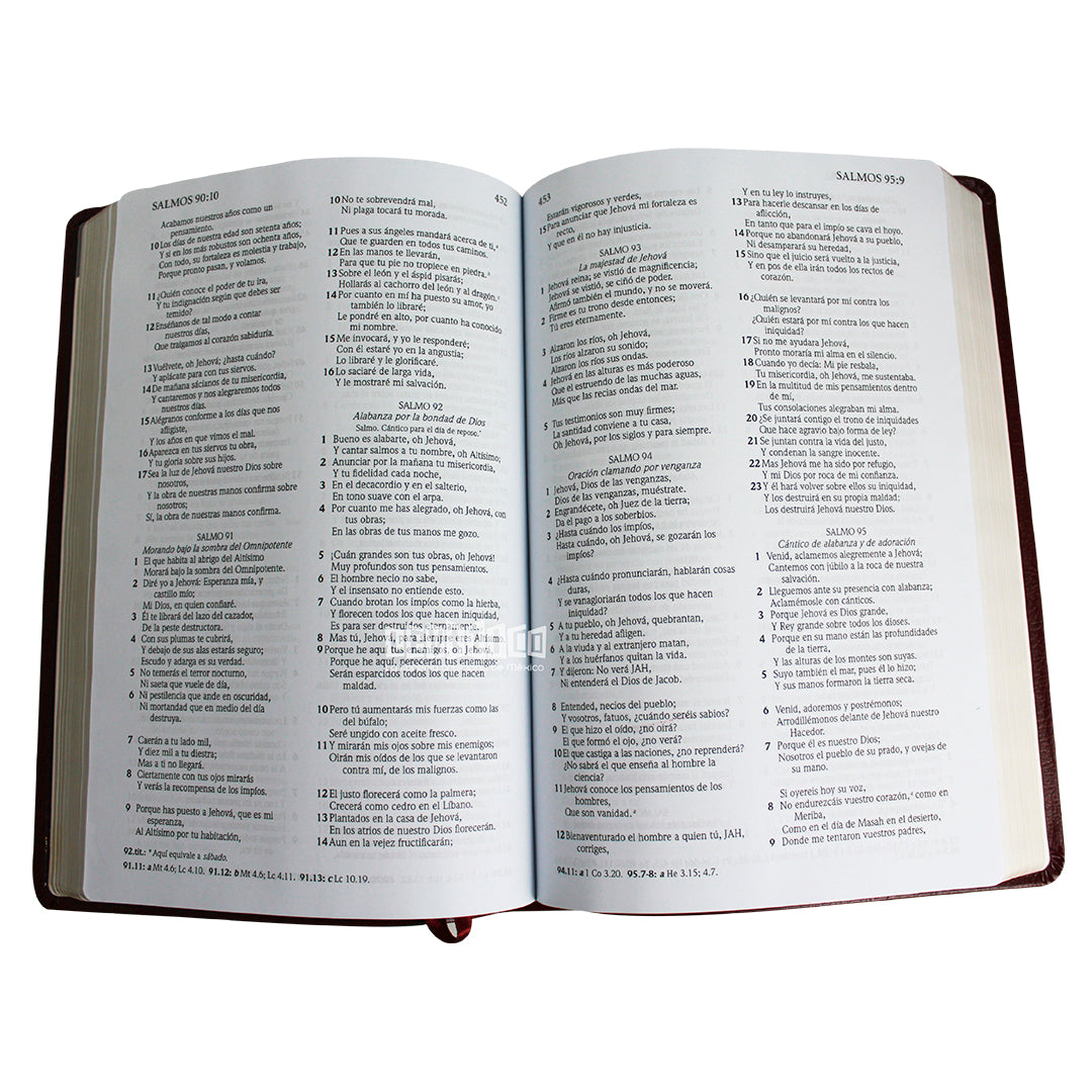Biblia RVR1960 con Referencias Letra grande