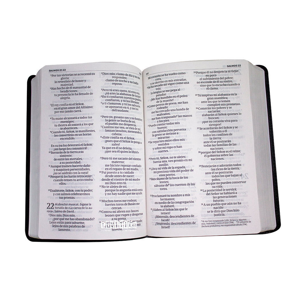 Biblia NVI Letra Grande Tamaño Manual, Negro piel fabricada