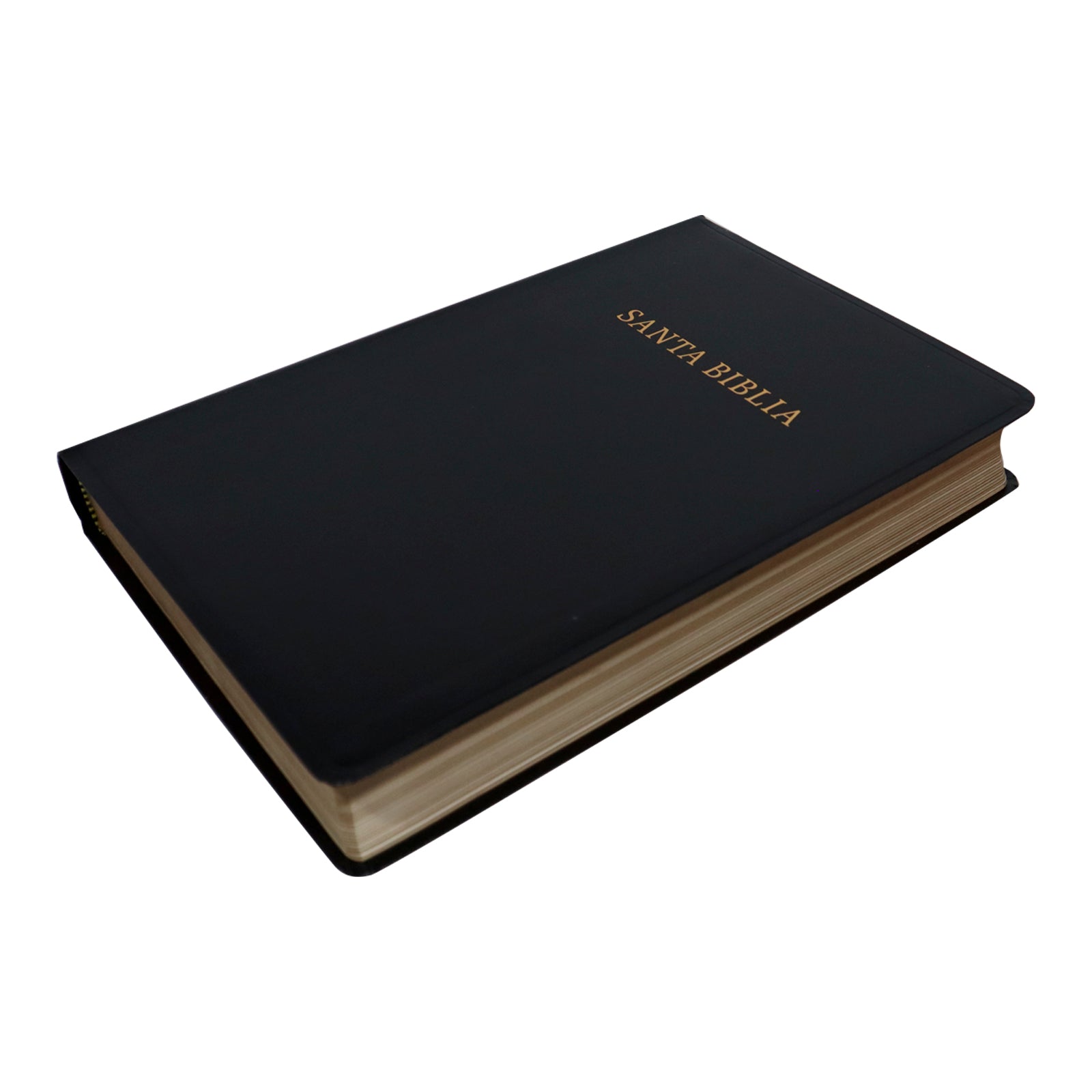 BIBLIA RV1960 LETRA GIGANTE CON REFERENCIAS