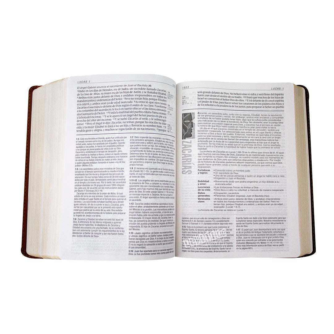 Biblia de estudio Diario Vivir RVR1960 Letra grande Sentipiel Café