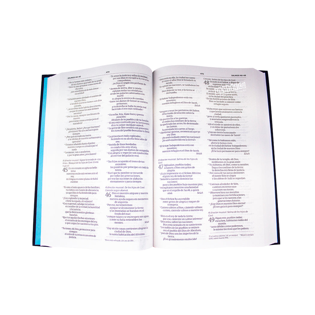 Biblia NVI Ultrafina, Azul bordado sobre tela