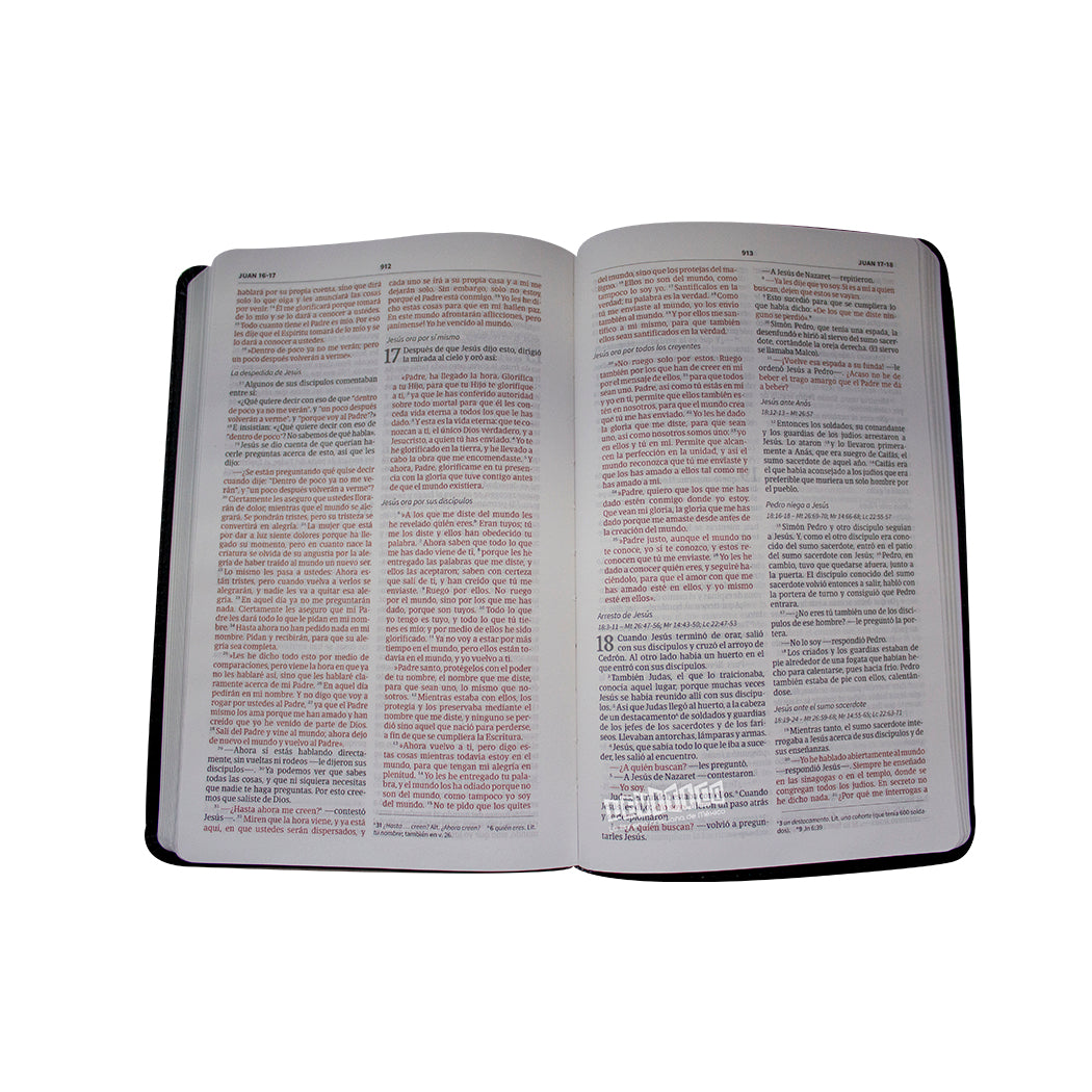 Biblia NVI Ultrafina, negro piel fabricada