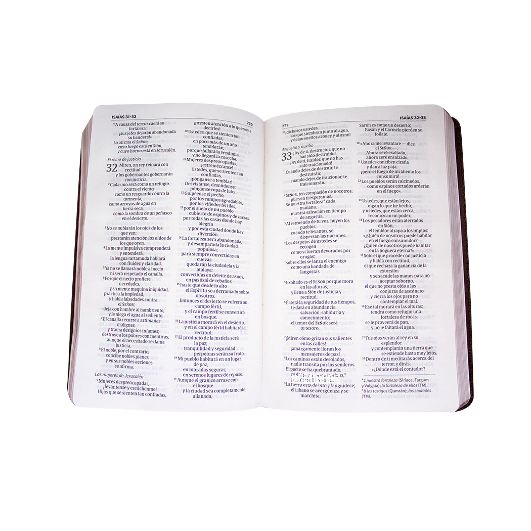 Biblia NVI Compacta Letra Grande, Piel fabricada