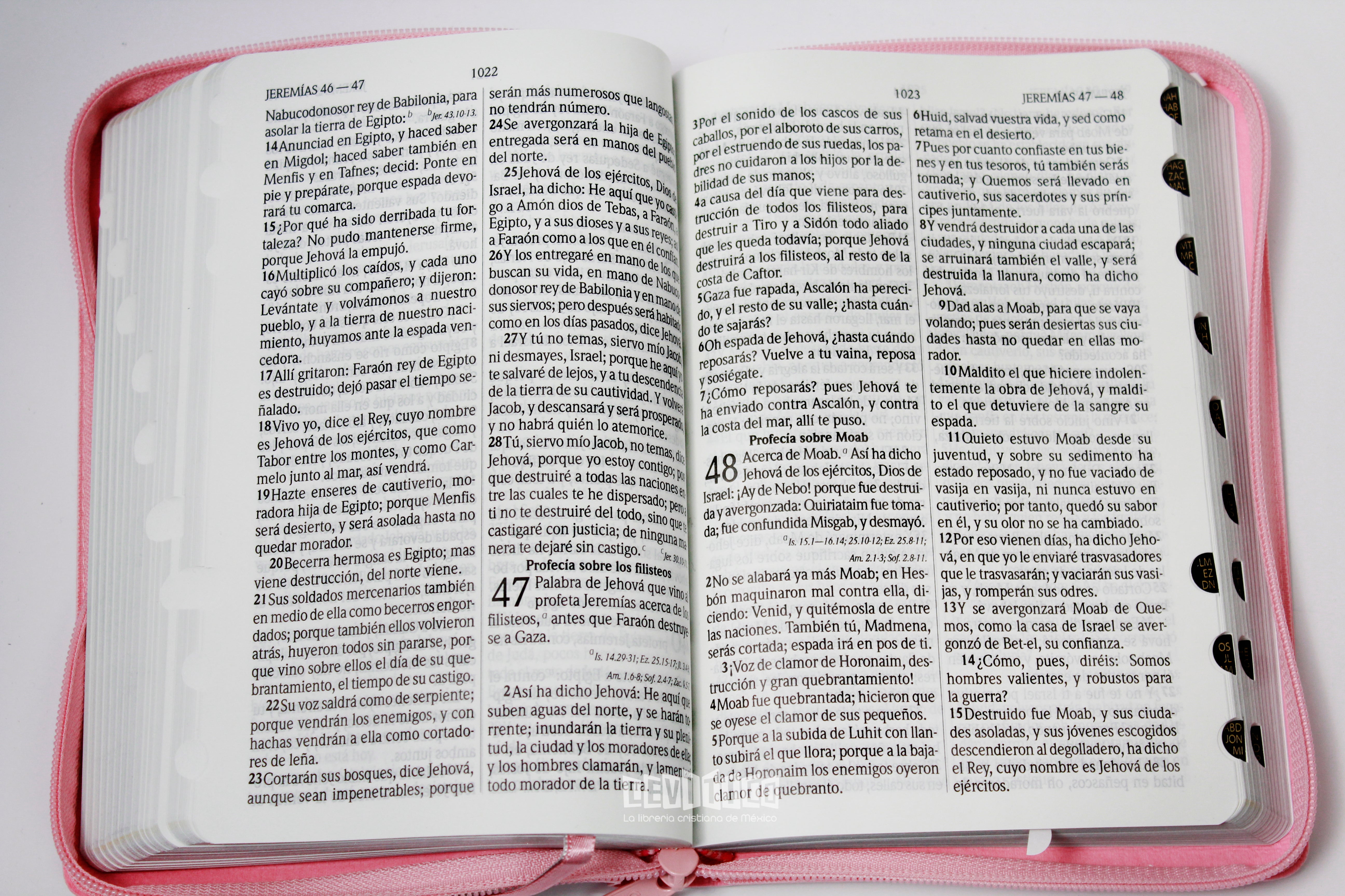 Santa Biblia RVR1960 Letra grande Concordancia Amplia c/cierre