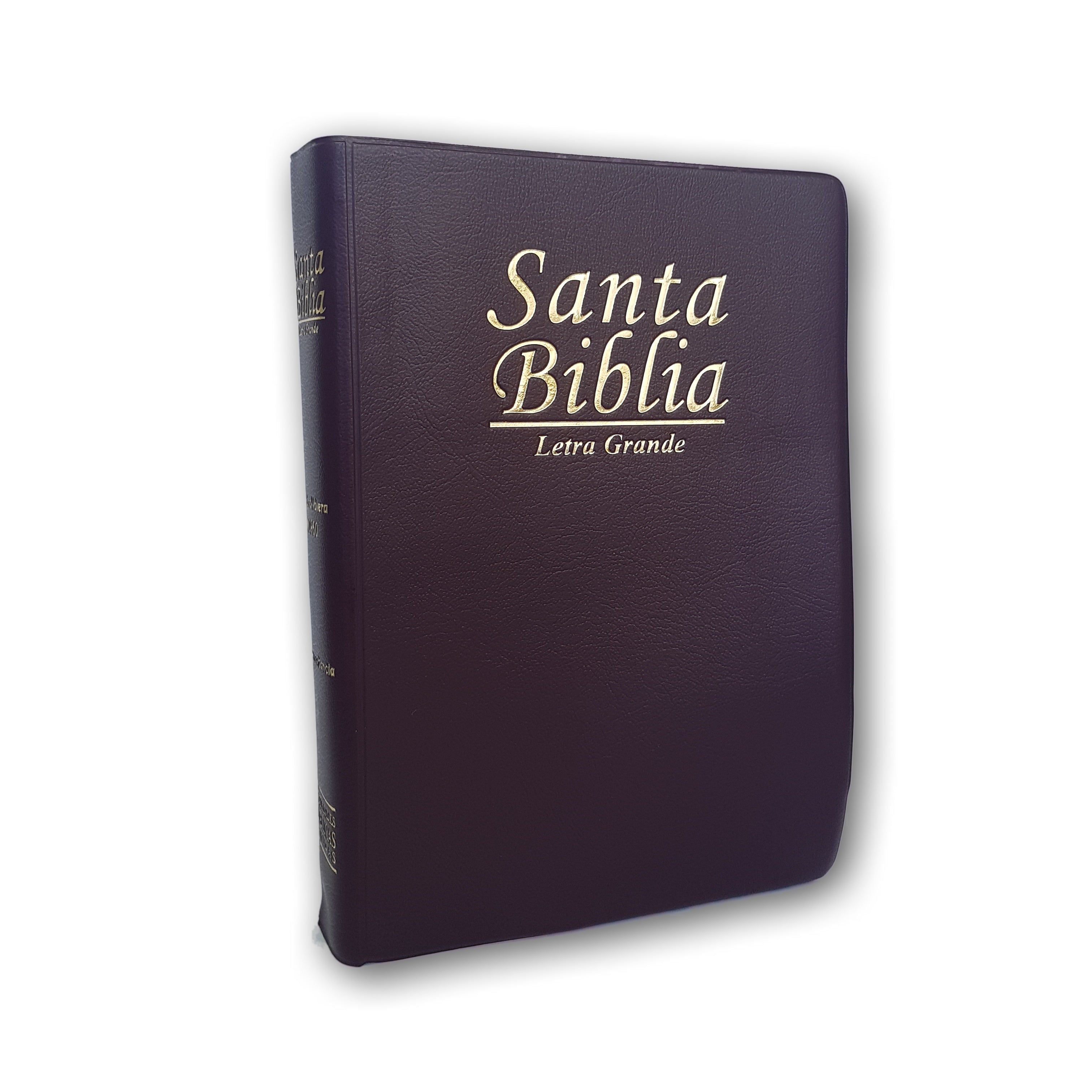 Santa Biblia RVR1960 Mediana Vinil Letra grande
