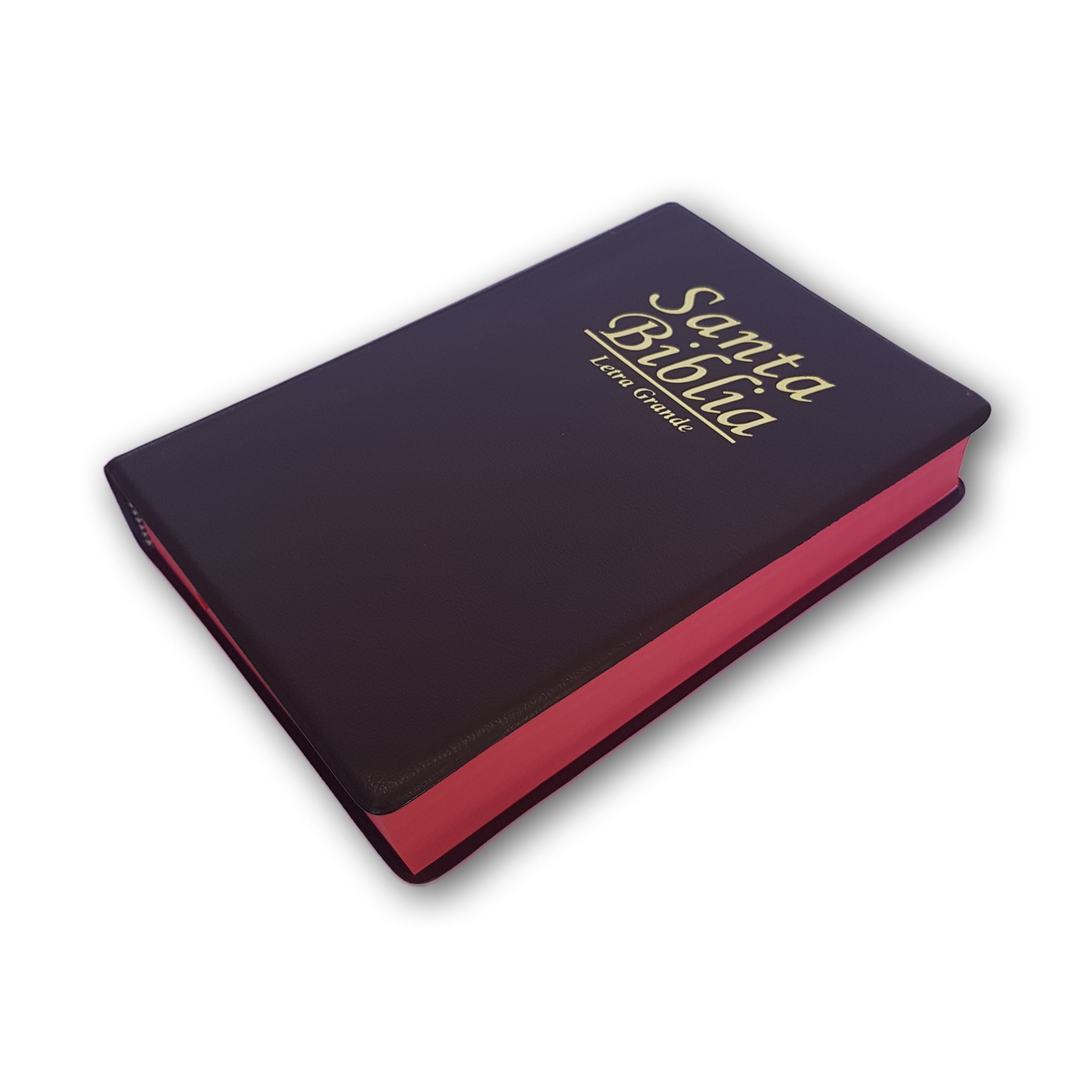 Santa Biblia RVR1960 Mediana Vinil Letra grande