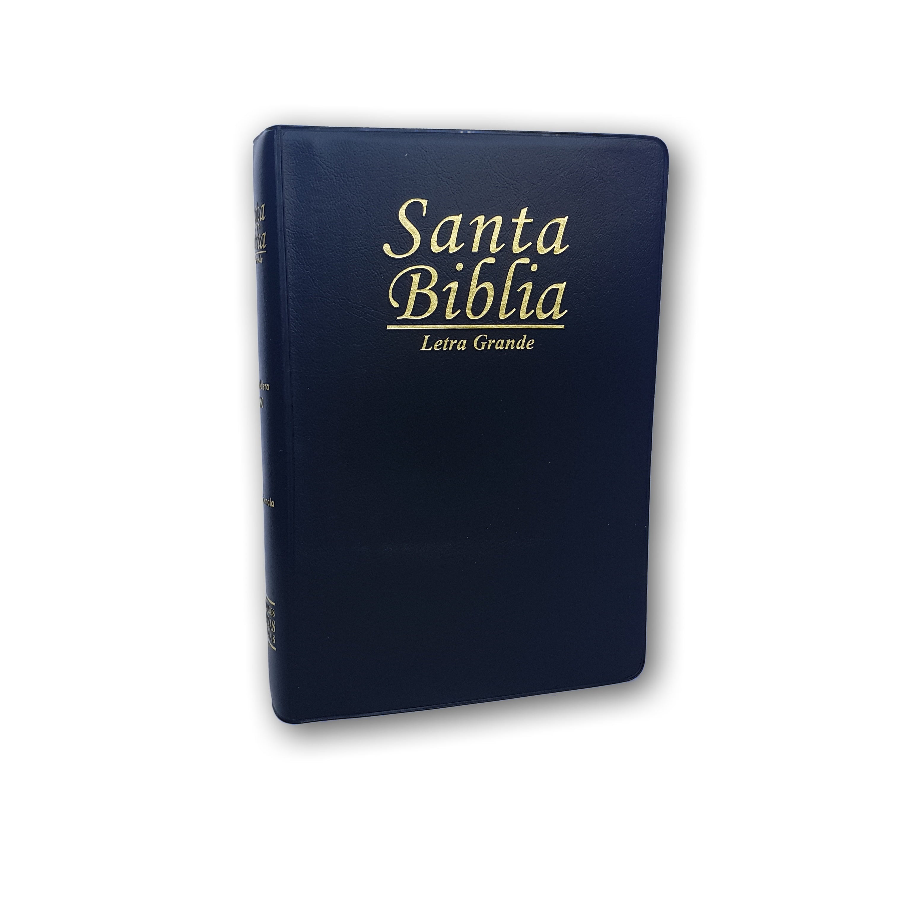 Santa Biblia RVR1960 Mediana Vinil Letra grande