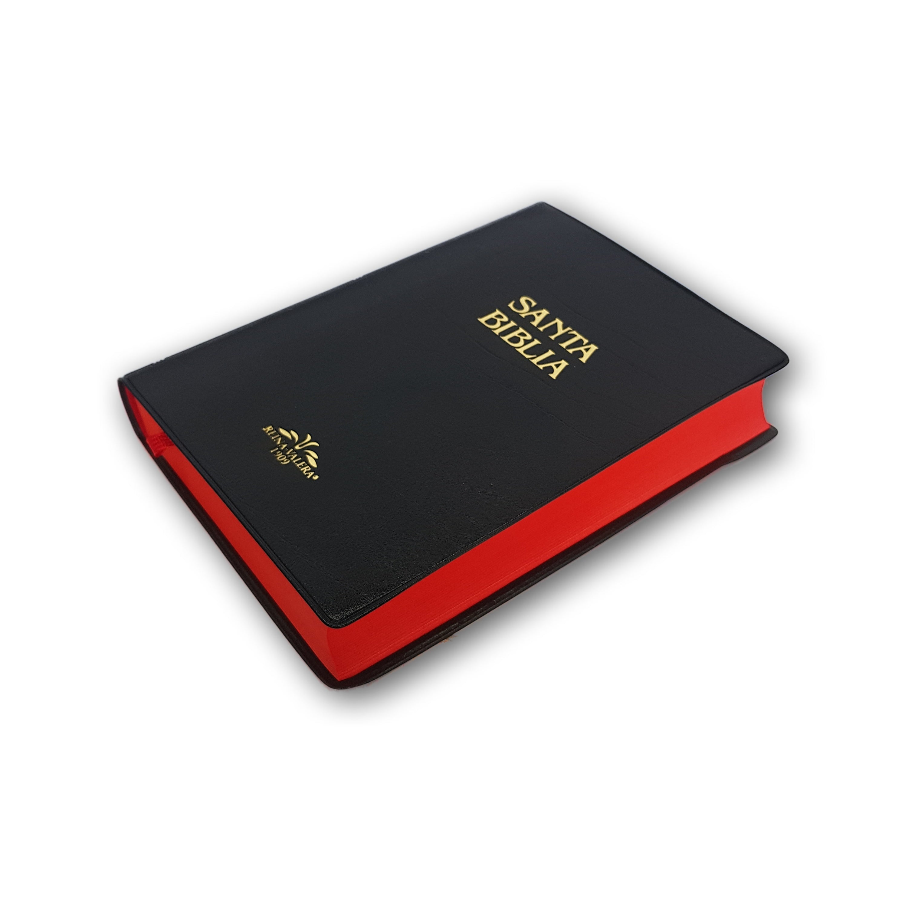 Santa Biblia RV1909 Vinil negra