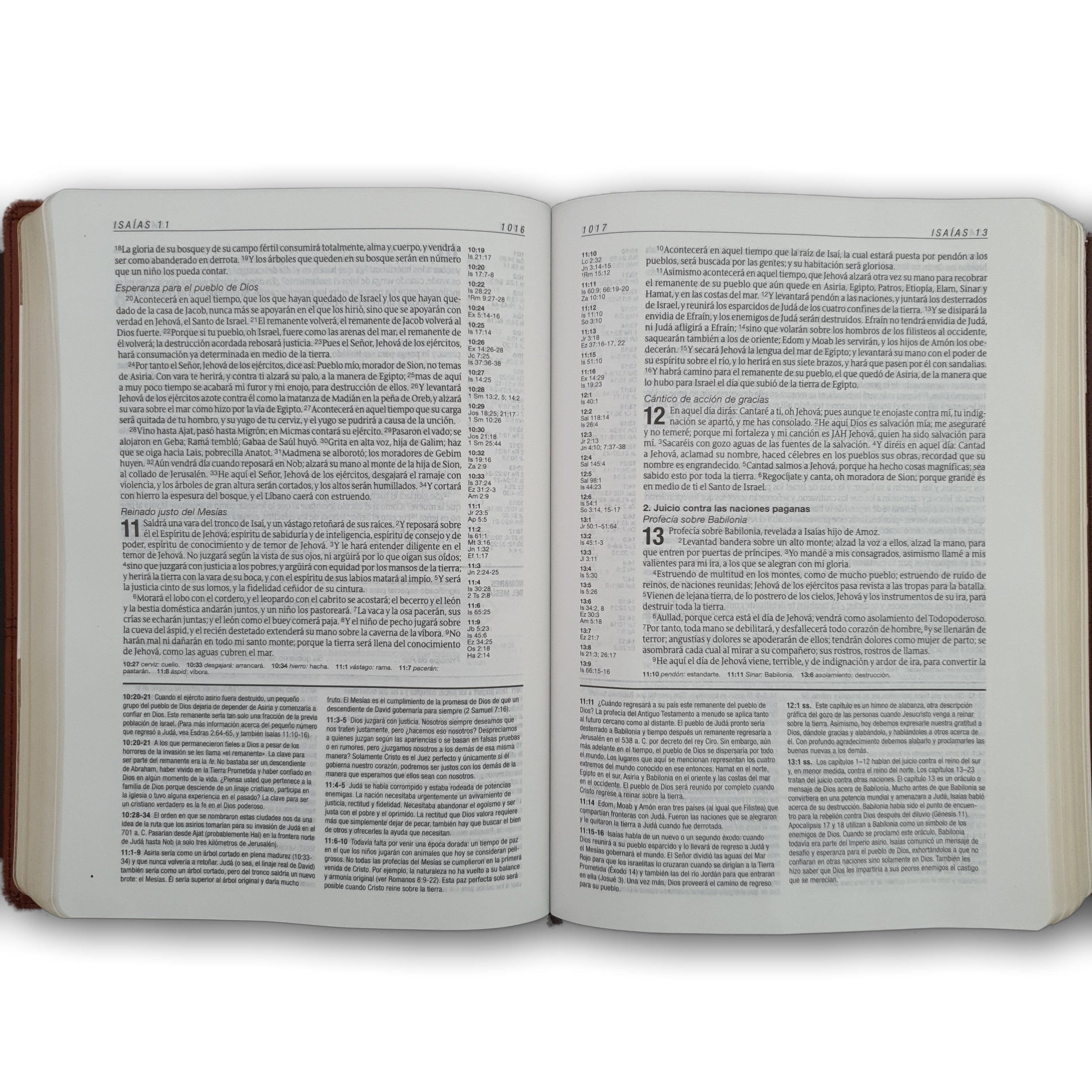 Biblia de estudio Diario Vivir RV60 Sentipiel