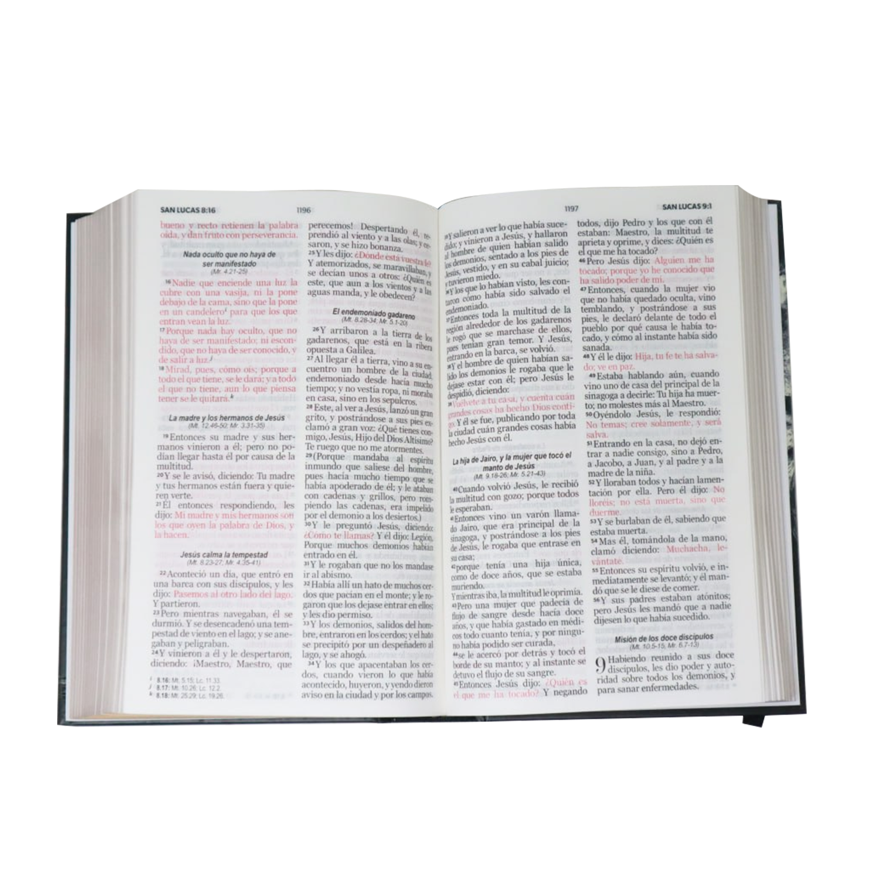 BIBLIA RVR 1960 LETRA GRANDE MANUAL ELASTICO/LEON