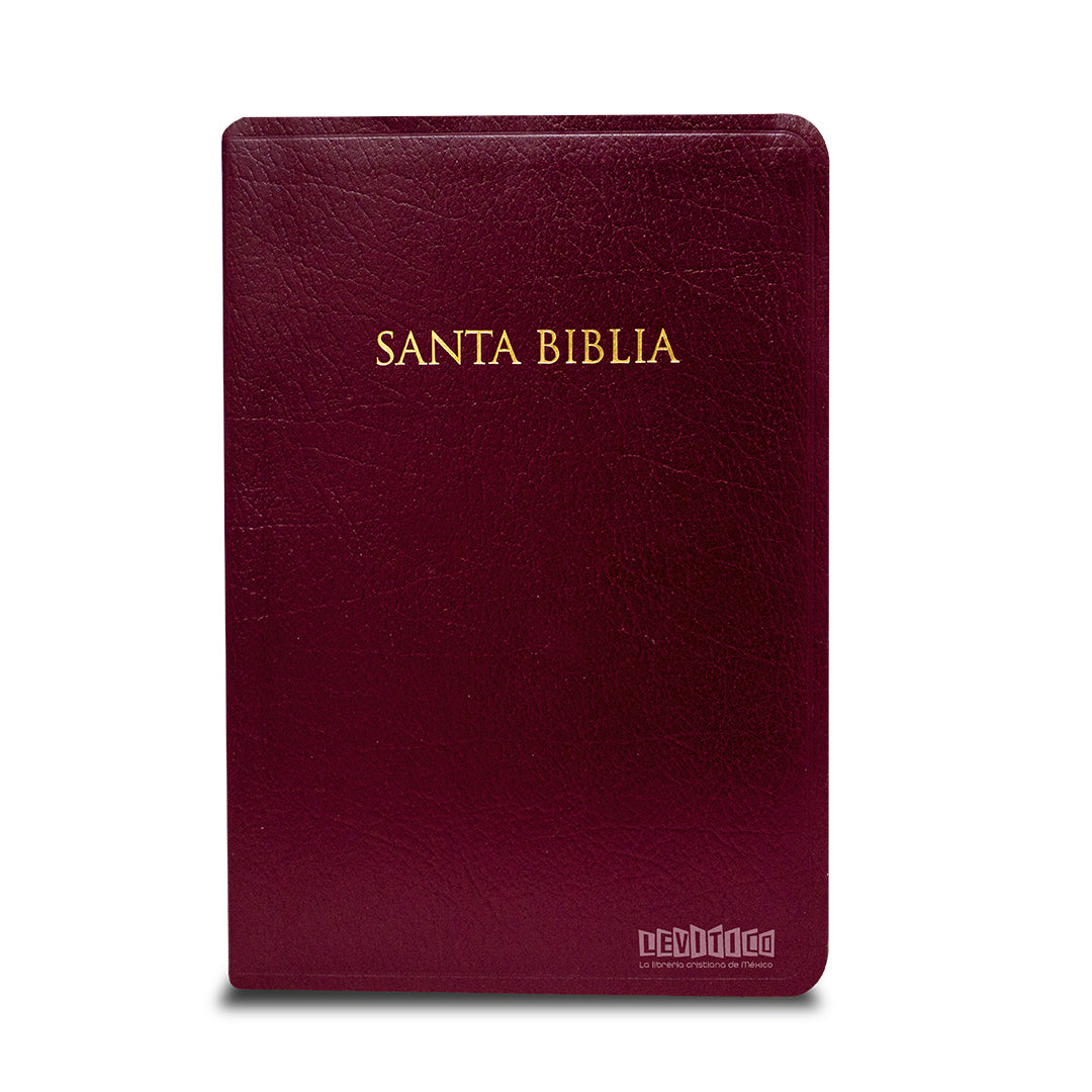 Biblia RVR60 para Regalos y premios, imitación piel