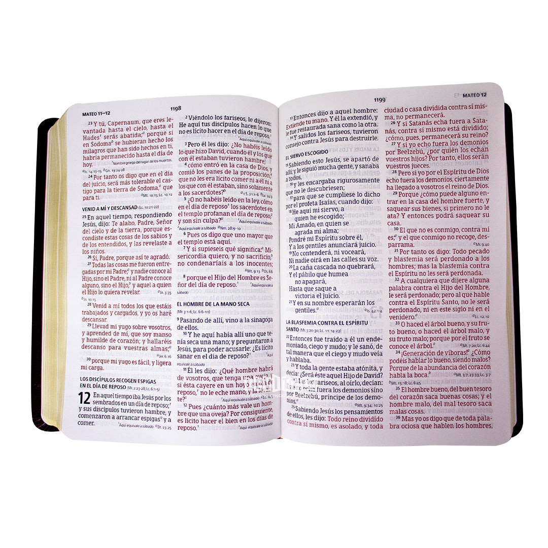 Biblia RVR60 Tamaño manual letra grande imitación piel