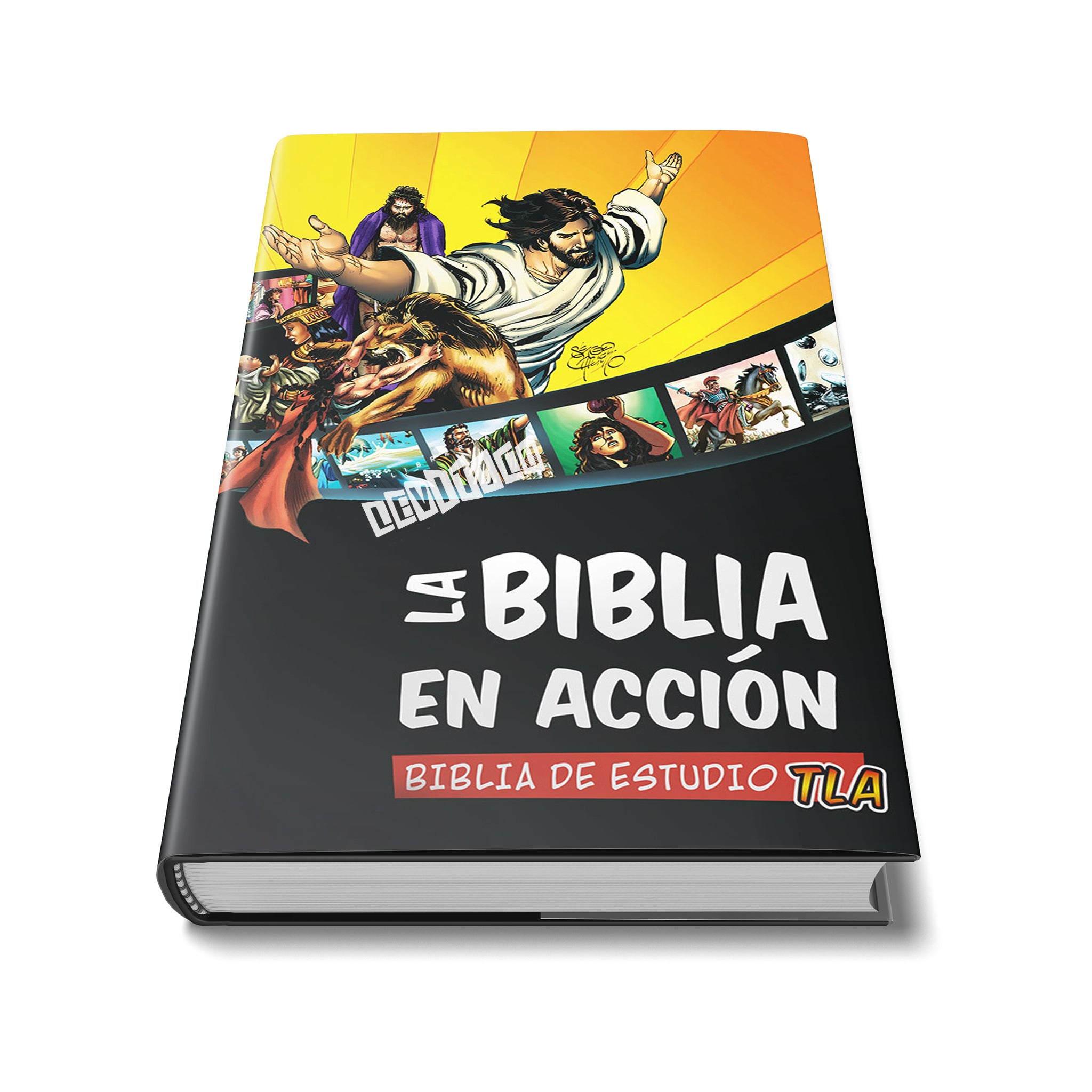 Biblia de estudio en acción