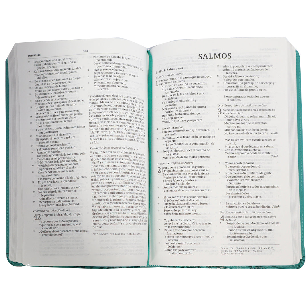 Biblia RVR60 Ultrafina con referencias Aqua (Símil piel)