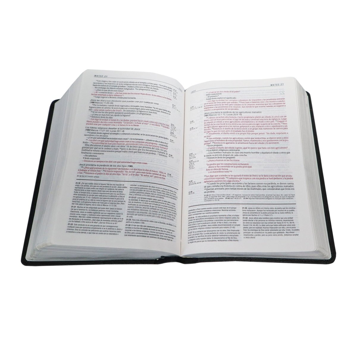 BIBLIA DE ESTUDIO NTV DIARIO VIVIR TAMAÑO PERSONAL - Levítico
