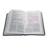 BIBLIA DE ESTUDIO NTV DIARIO VIVIR TAMAÑO PERSONAL - Levítico
