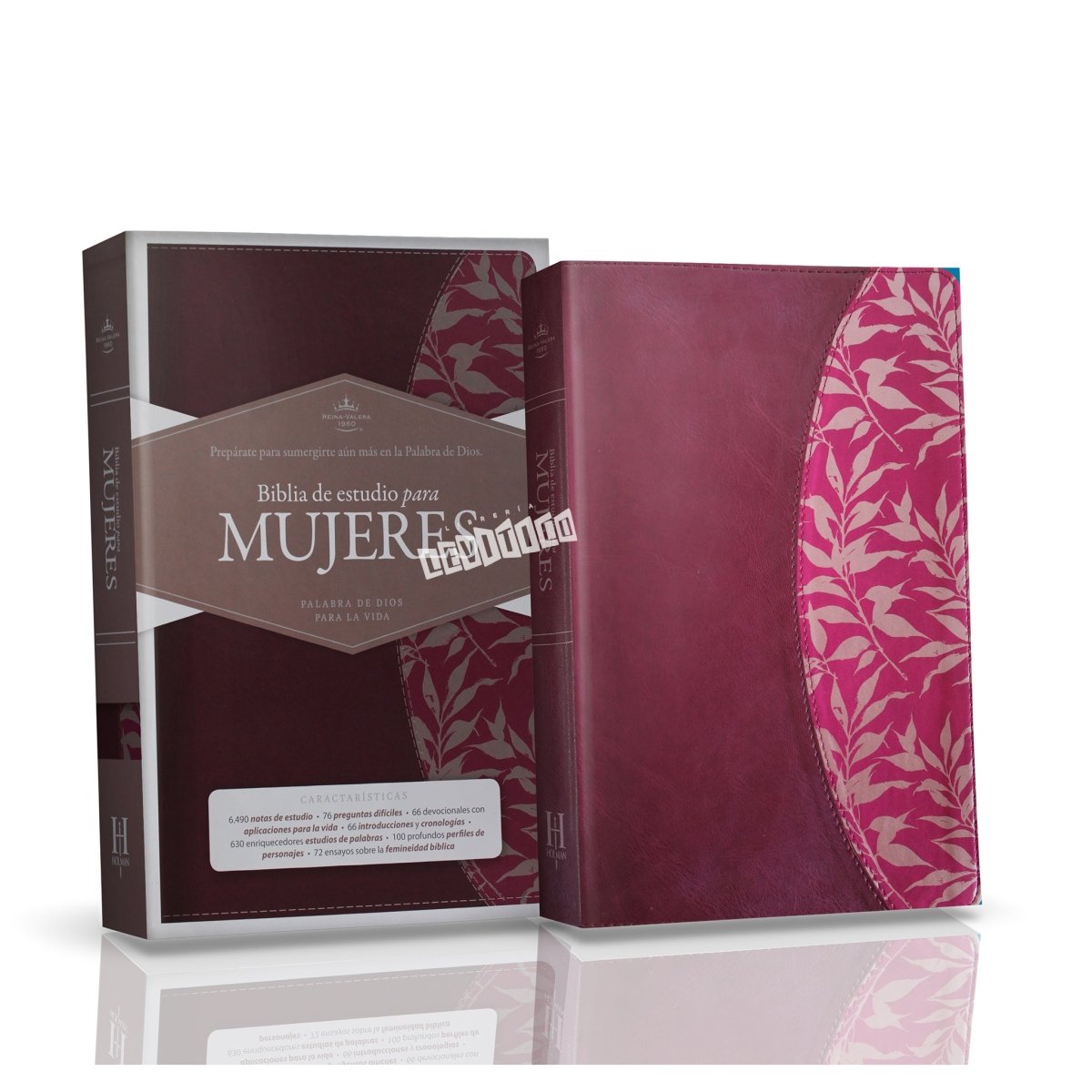 Biblia de Estudio Para Mujeres - Levítico