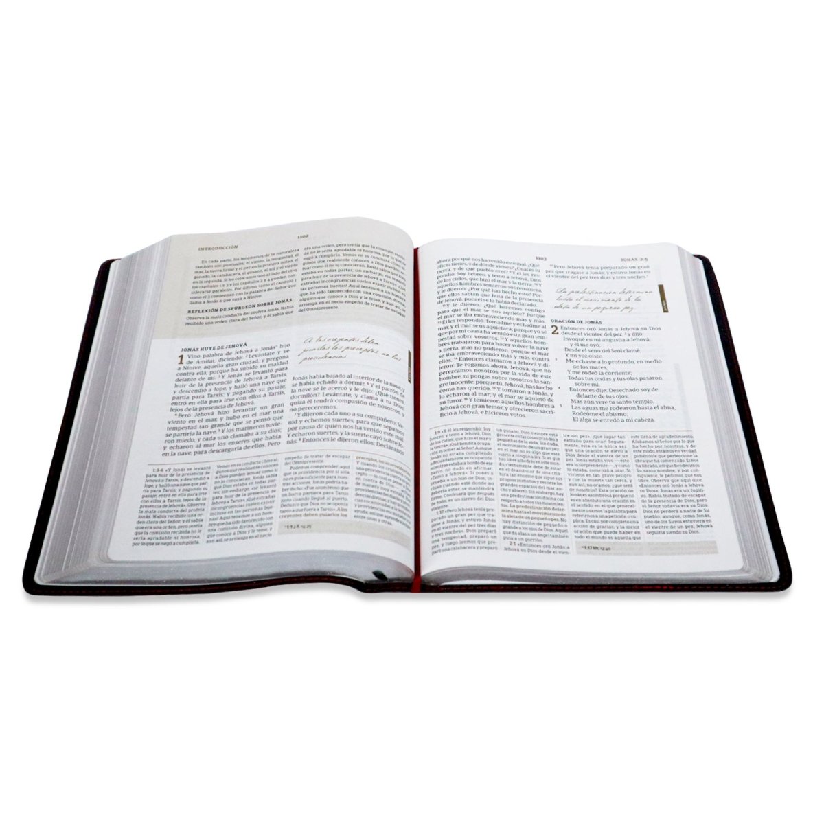 Biblia de estudio Spurgeon RVR1960 Piel Genuina - Levítico