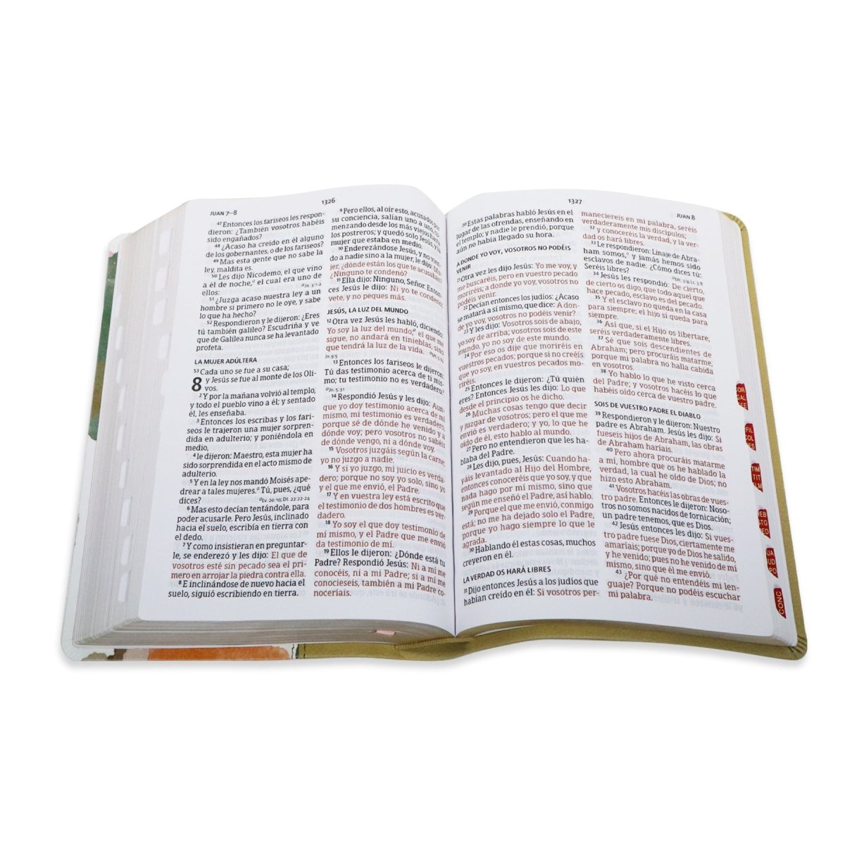BIBLIA REINA VALERA 1960 LETRA GRANDE MANUAL MULTICOLOR SIMIL PIEL C/INDICE - Levítico