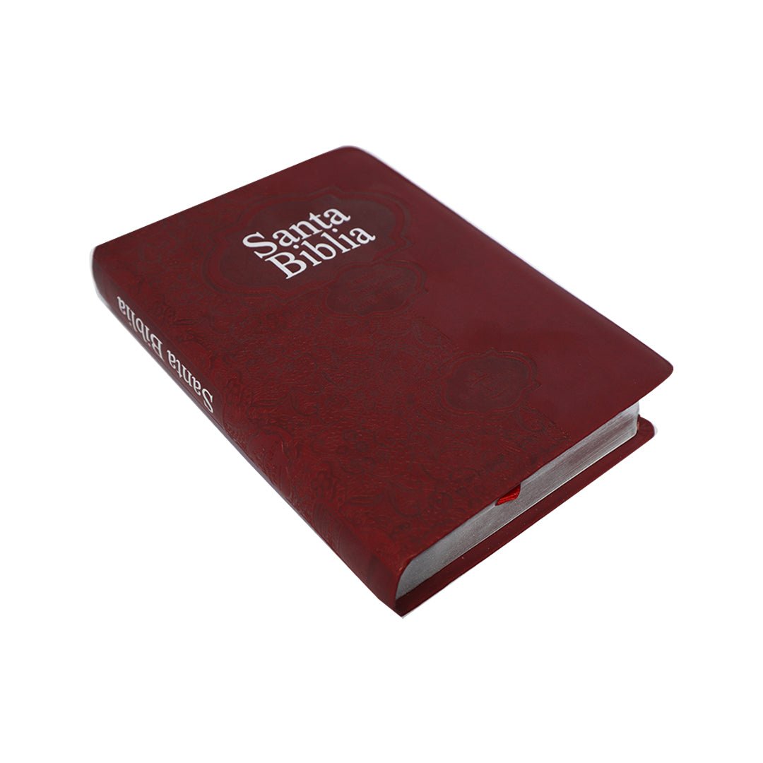 BIBLIA RVR1960 FUENTE DE BENDICIONES - Levítico