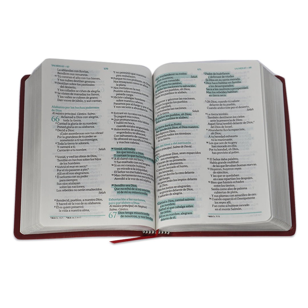 BIBLIA RVR1960 FUENTE DE BENDICIONES - Levítico