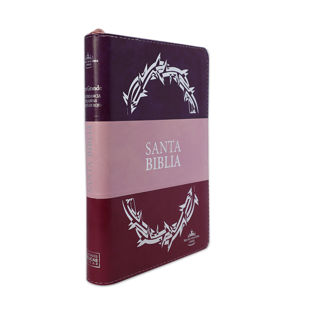 SANTA BIBLIA RVR1960 LETRA GRANDE TRICOLOR C/CIERRE /NDICE