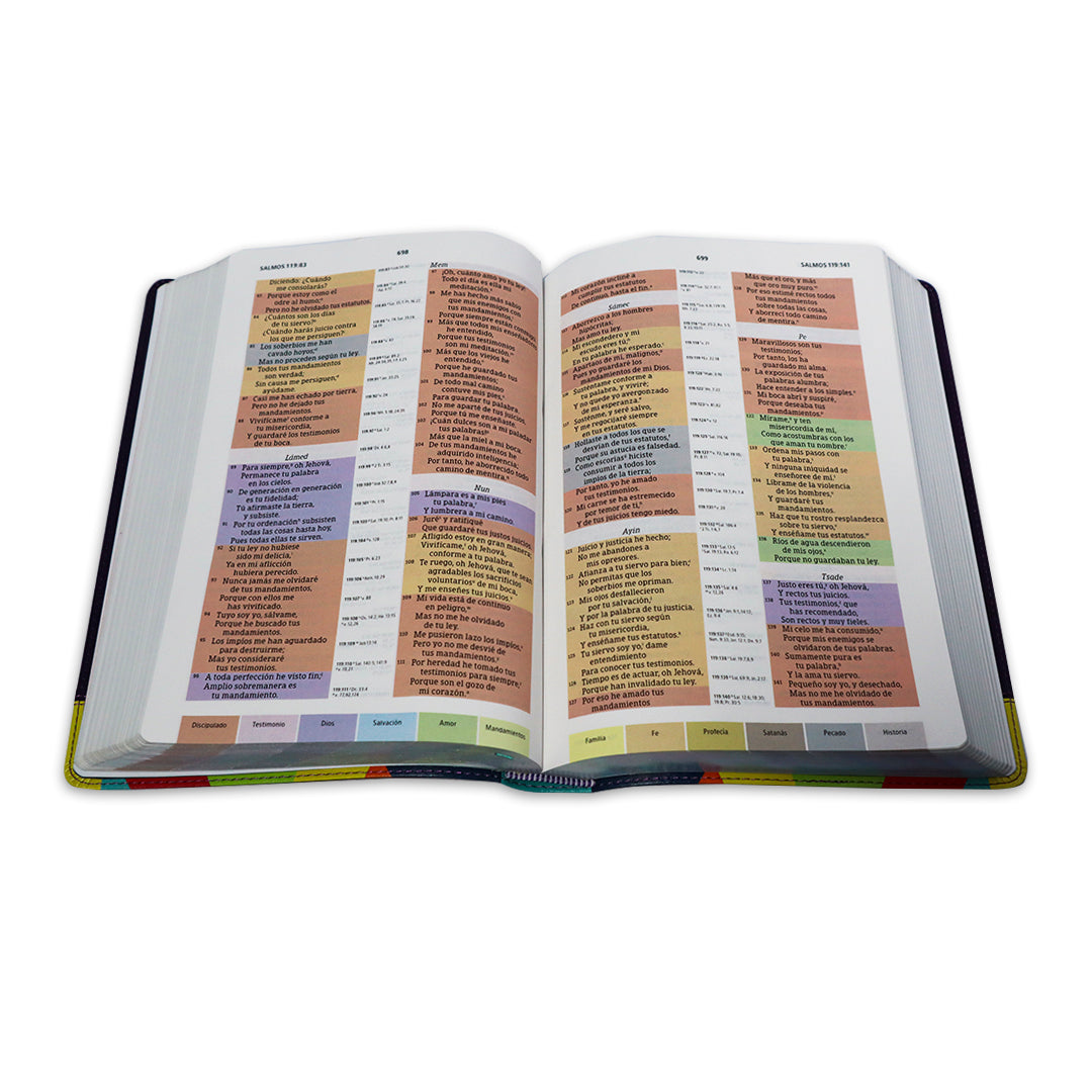 BIBLIA DE ESTUDIO ARCOIRIS  RVR1960 SIMIL PIEL MORADO/ MULTICOLOR