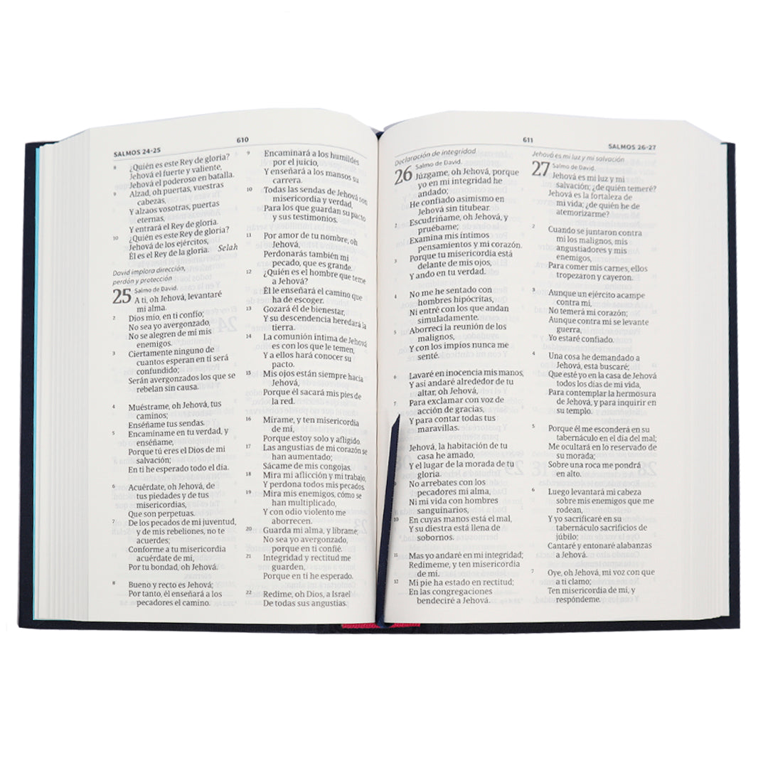 Biblia RVR60 compacta letra grande (Bordado tela)