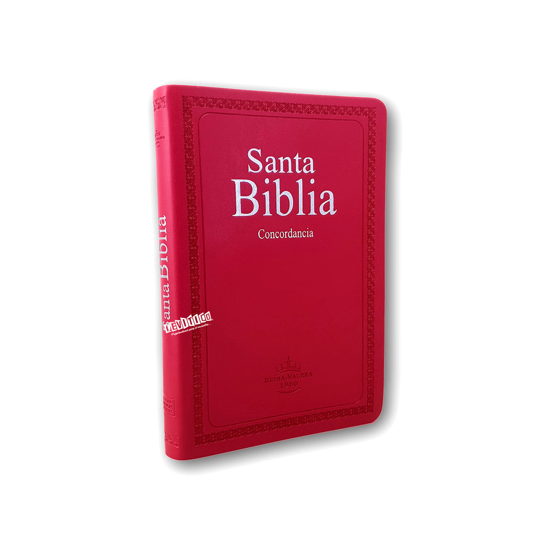 Santa Biblia c/ Concordancia Piel sintética