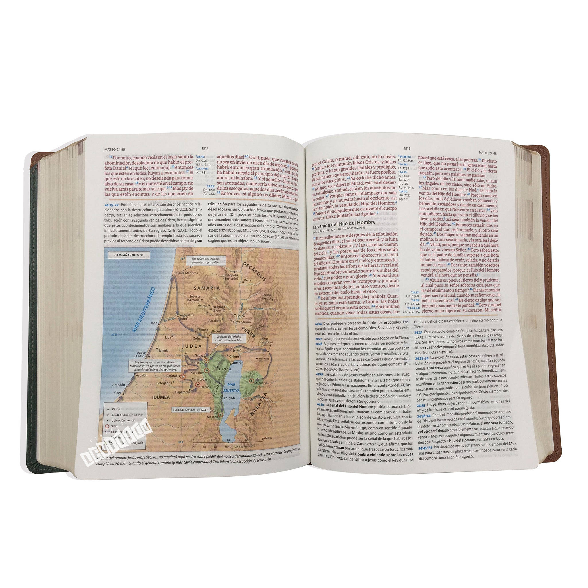 Biblia de Estudio Holman RVR1960 verde/castaño