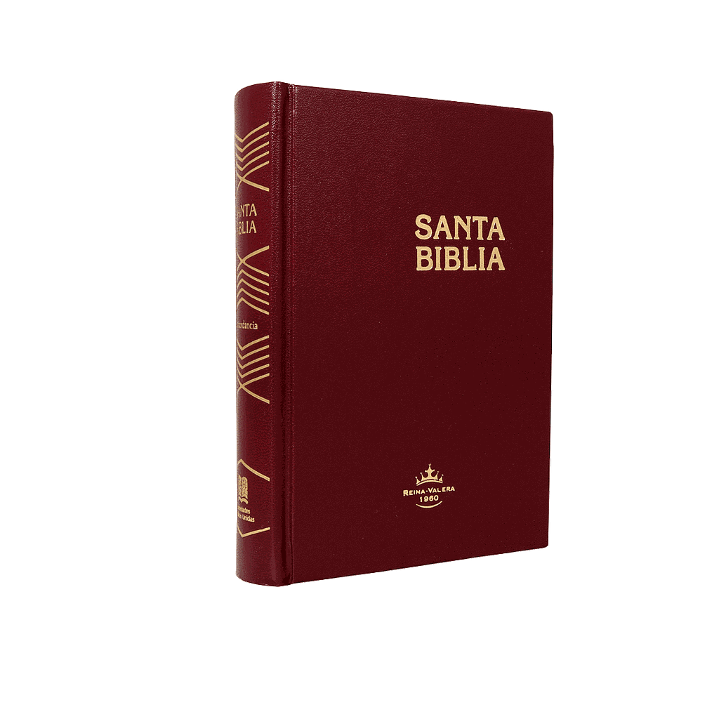 Santa Biblia RVR60 Tapa dura compacta