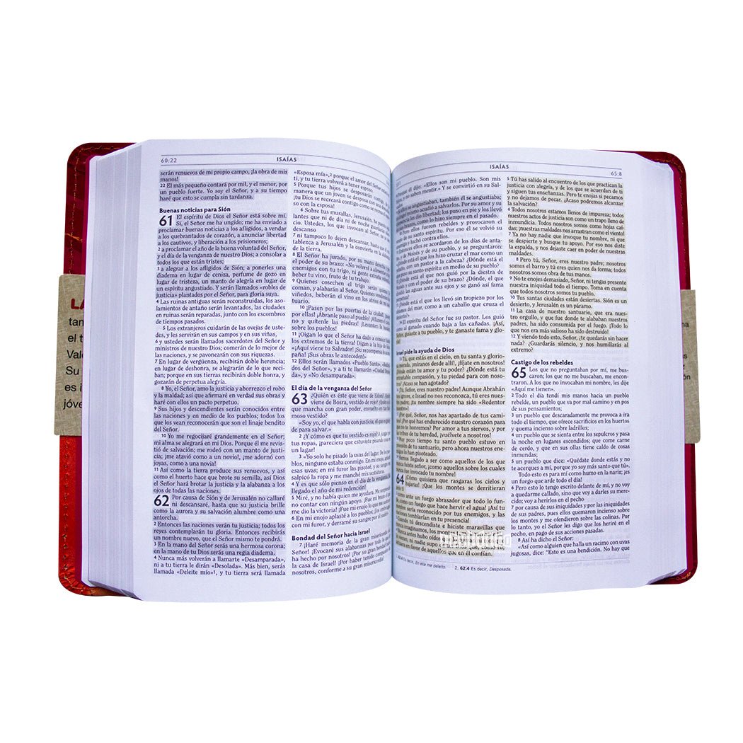 La Biblia Luz RVC, símil piel (colorido) - Levítico