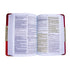 La Biblia Luz RVC, símil piel (colorido) - Levítico