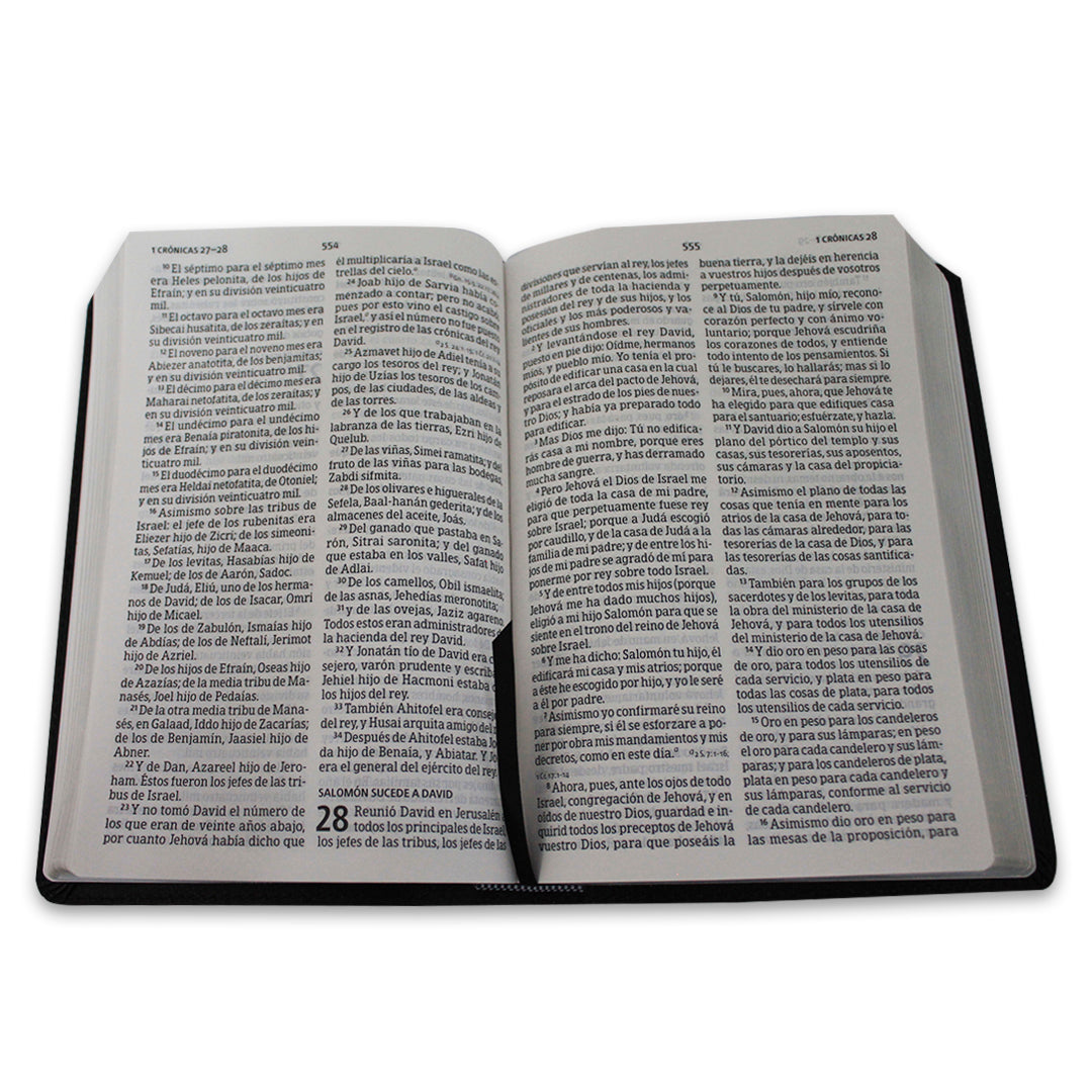 Biblia Rvr1960  letra grande tamaño manual negro piel fabricada