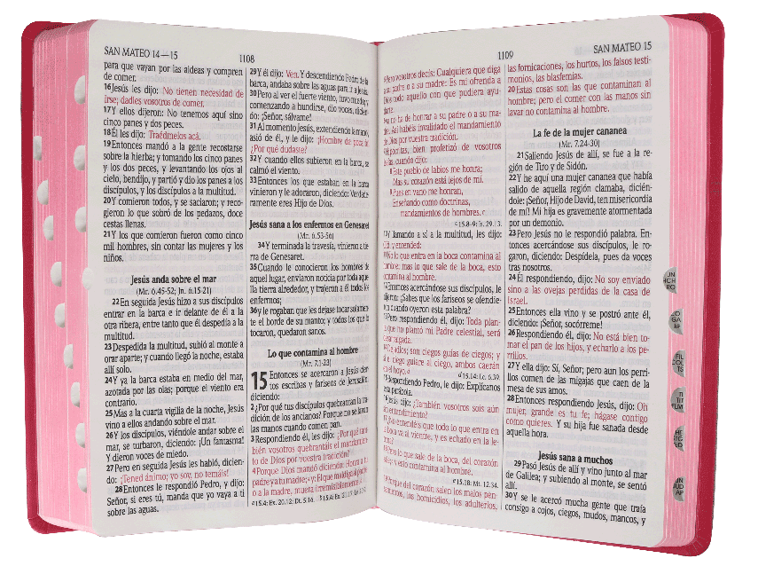 Santa Biblia RVR1960 Letra grande Fucsia Mariposa c/índice