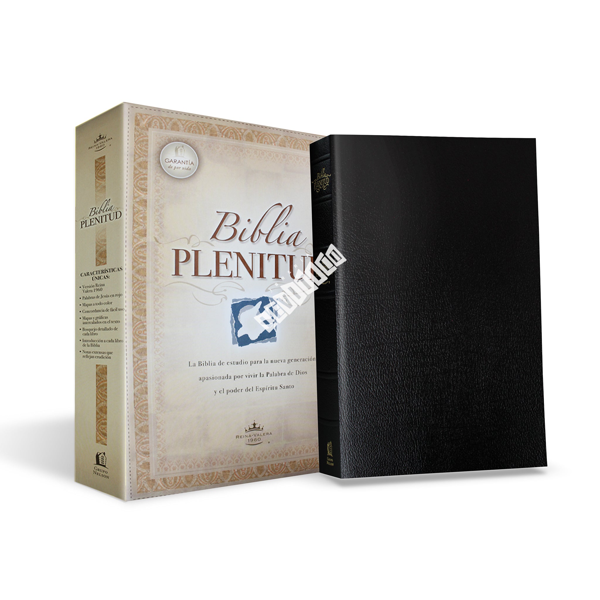 Biblia de estudio Plenitud RVR60 (Imitación Piel Negro)