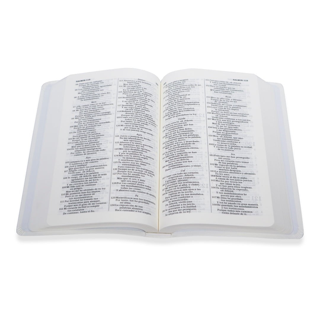 SANTA BIBLIA DE BODA RV1960 TAMAÑO MANUAL - Levítico