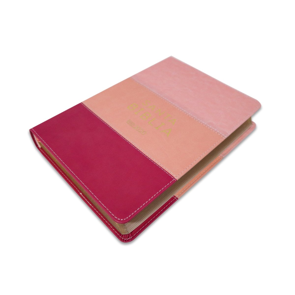 SANTA BIBLIA REINA VALERA 2020 (4 colores) - Levítico