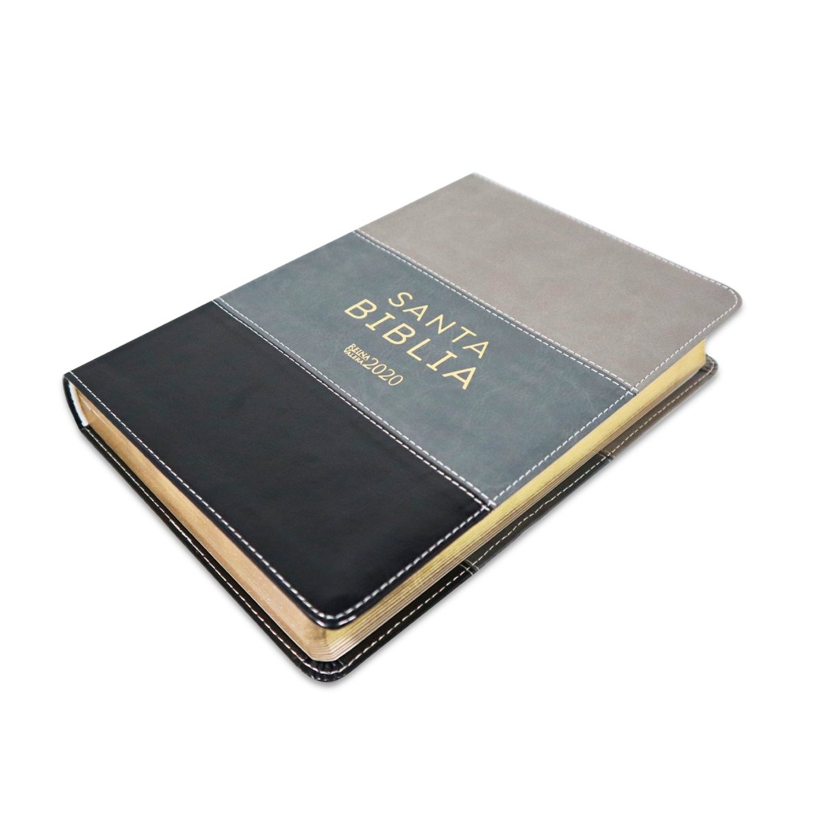 SANTA BIBLIA REINA VALERA 2020 (4 colores) - Levítico