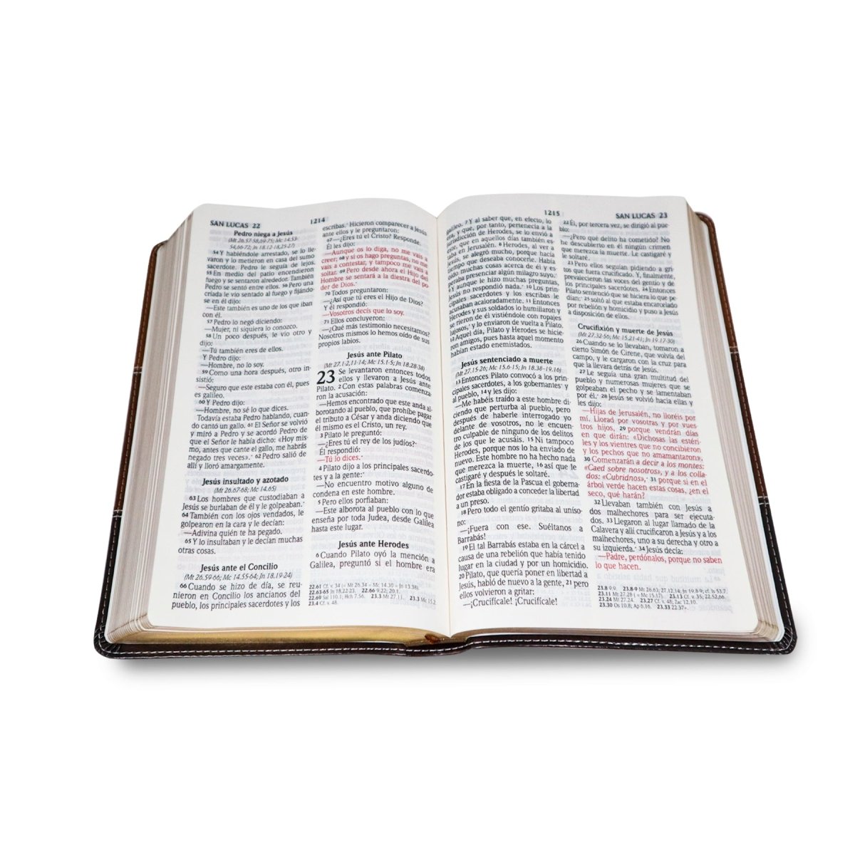 SANTA BIBLIA REINA VALERA 2020 (4 colores) - Levítico