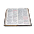 SANTA BIBLIA REINA VALERA 2020 (4 colores) - Levítico