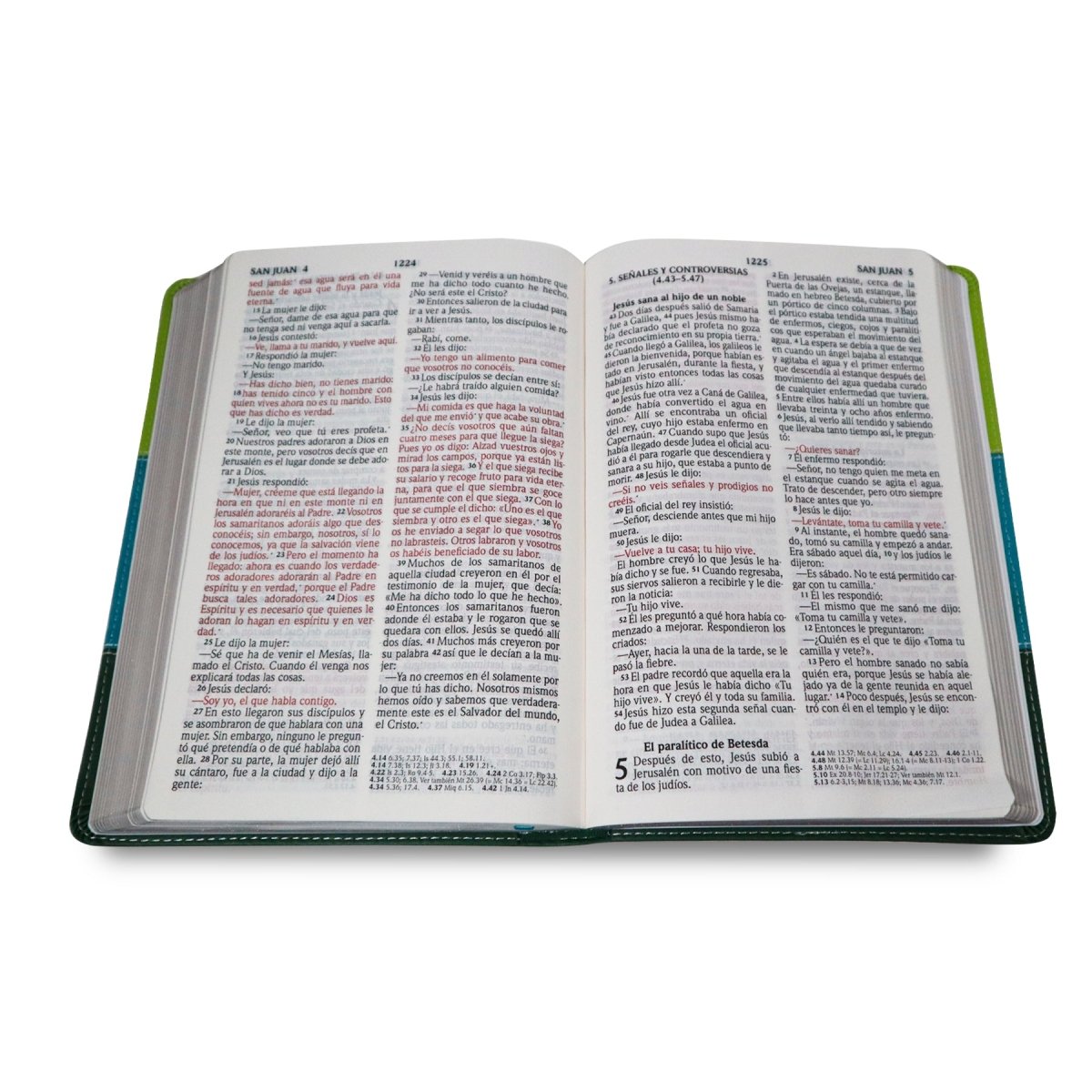 SANTA BIBLIA REINA VALERA 2020 (4 colores) - Levítico