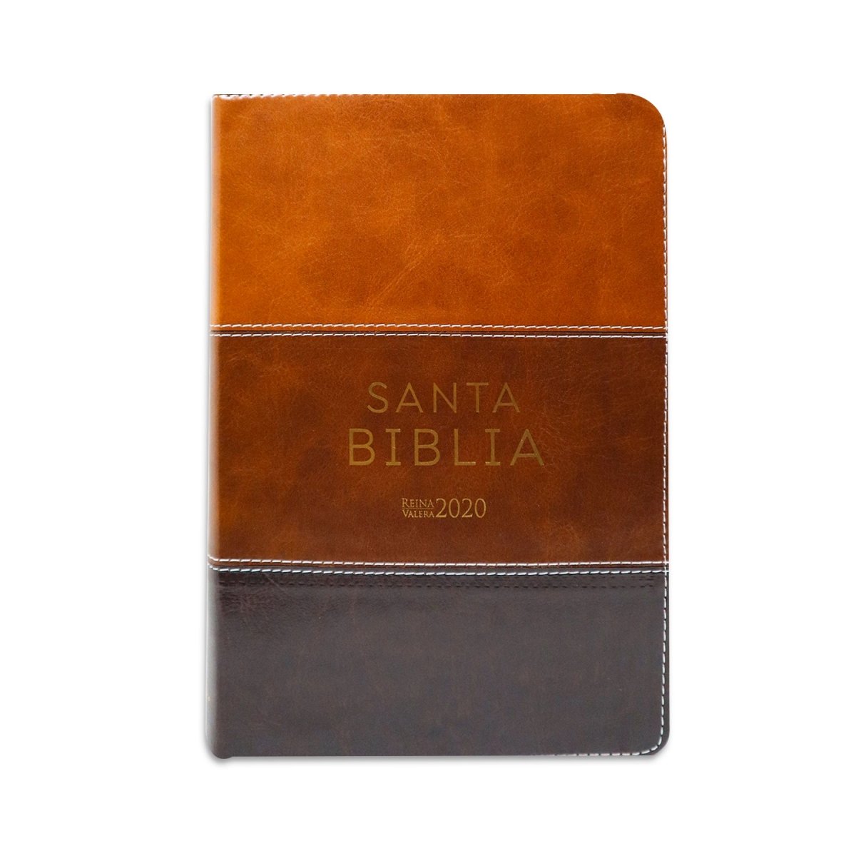 SANTA BIBLIA REINA VALERA 2020 (4 colores) - Levítico
