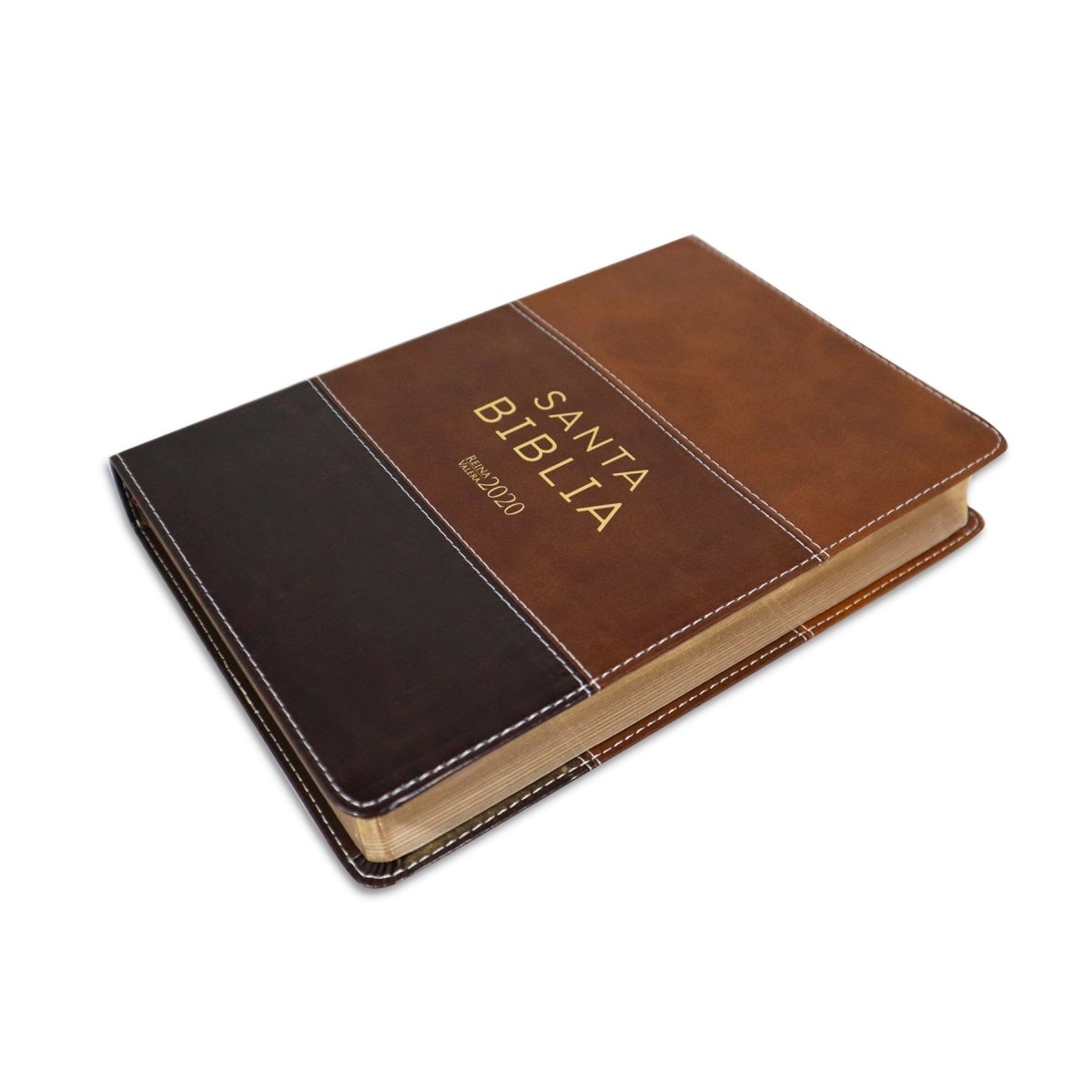 SANTA BIBLIA REINA VALERA 2020 (4 colores) - Levítico